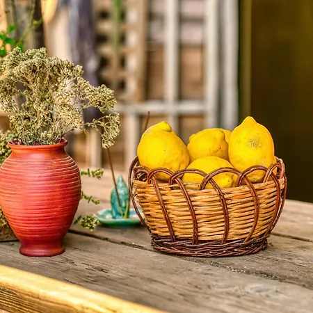 Akti Argo Séjour à la ferme Palaiokastro (Crete)