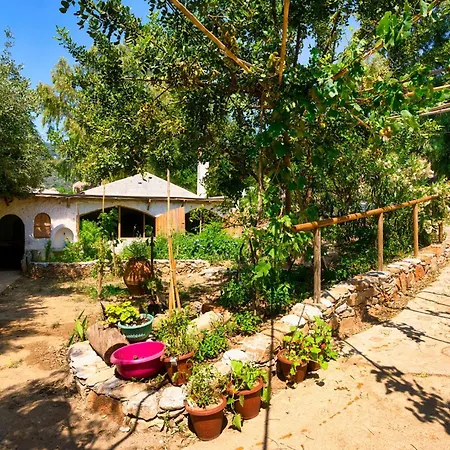 Akti Argo * Palaiokastro (Crete)