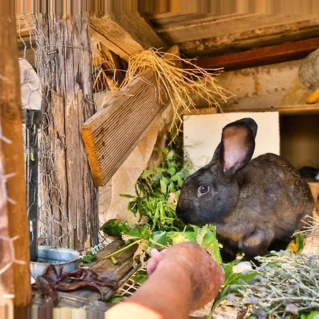 Séjour à la ferme Akti Argo Palaiokastro (Crete)
