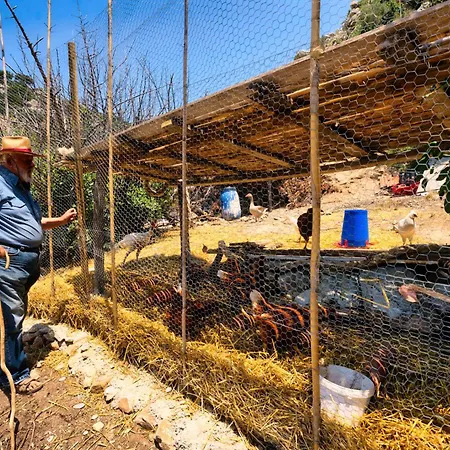 Akti Argo Κατάλυμα σε φάρμα Παλαιόκαστρο